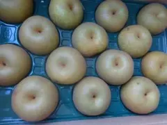 ヤンクミ様専用クール便代330円