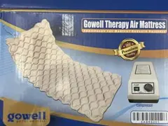 Item thumbnail for item 2ac48234-42c3-4dfd-a4b1-e10c455b70ed