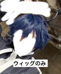桃源暗鬼 コスプレ ウィッグ 一ノ瀬四季 - メルカリ