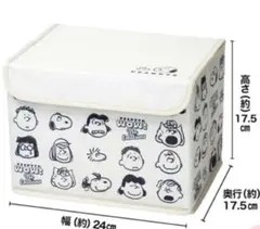 steady. スヌーピー&フレンズ 収納ボックスのサムネイル