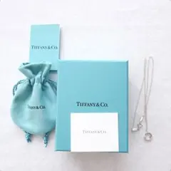 Tiffany&Co ティファニー ロゴバー キーリング 2点セット SV925 Tiffany&Co ティファニー ロゴバー キーリング 2点セット SV925 - メルカリ