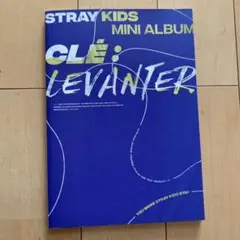 スキズ アルバム LEVANTER チャンビンのサムネイル