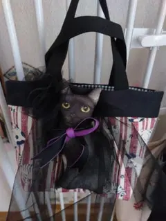 N*o様 ③②フリフリ着ぐるみ★トートバック♡コヤンイサムチョン 2025年最新】コヤンイサムチョンの人気アイテム - メルカリ