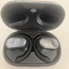 NAGAOKA ワイヤレスイヤホン 本体のサムネイル