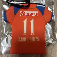 アルビレックス新潟　ダニーロゴメス　ネオプレーンケース