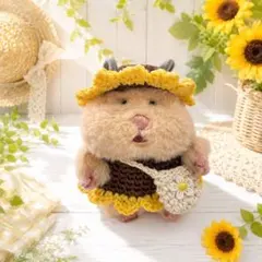 はむにぎり かぶりもの ひまわり ひまわりの種 2点セット - メルカリ