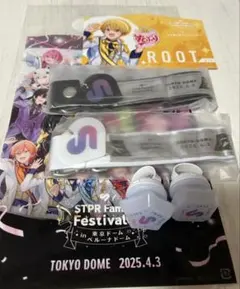 すとふぇす2025 東京ドーム 通しチケット 特典 リングライト 銀テホルダー