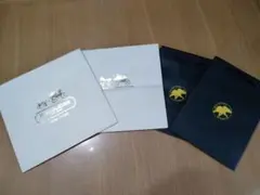 COACHI &  HUNTINGWORLD 紙手さげ袋