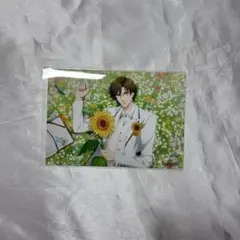 手塚国光 サマバレ ブロマイド