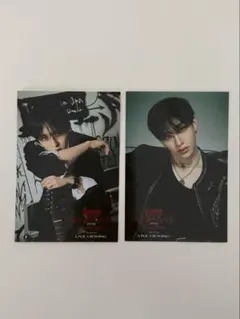 straykids スキズ バンチャン リノ 映画 ライブビューイング トレカ