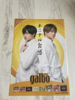 galbo 購入特典　中島健人さん・菊池風磨さんのクリアファイル