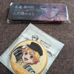 鬼滅の刃　アニメイト　缶バッジ　台詞ロング　2点セット　まとめ売り　善逸