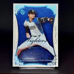 BBM 2014 WB1 プロモ プリントサイン 日本ハム 大谷翔平 BBM 2014 WB1 プロモ プリントサイン 日本ハム 大谷翔平 2014