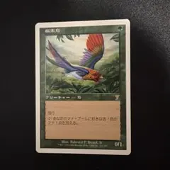 MTG 極楽鳥 第7版 日本語版 マジックザギャザリングのサムネイル