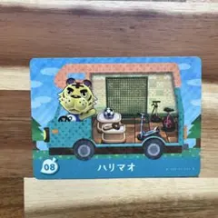 どうぶつの森 amiiboカード ハリマオ 08