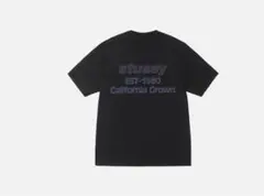 STUSSY California Grown Pig. Dyed Tee 黒