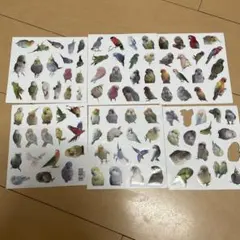 鳥のイラスト ステッカー 6枚セット