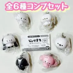 コンプ　じょせまる めじるしアクセサリー　全6種セット