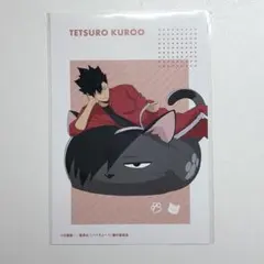 2026年最新】黒尾鉄朗グッズの人気アイテム - メルカリ