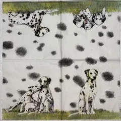 Item thumbnail for item 9f76782e-6902-4787-9abf-2f5ba5685a2b