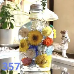 ◆ハーバリウム　357 ひまわりヘリクリサムのbottle *.:。✿*゜
