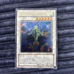 遊戯王　スプレンディッド・ローズ　レリーフ