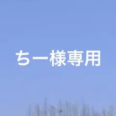 ちー様専用ページです♪のサムネイル