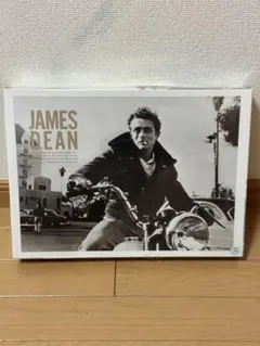 未開封/JAMES DEAN/ジェームスディーン/ 750ピースジグソーパズル