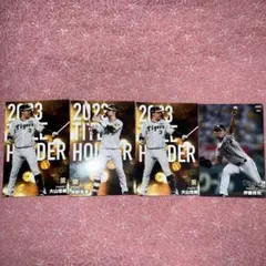 カルビープロ野球チップスカードタイトルホルダー