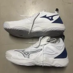 Item thumbnail for item 3ffd1283-0b29-4ffb-97df-e83e58922ccb