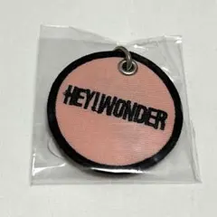 クロマニヨンズ ミュージシャン