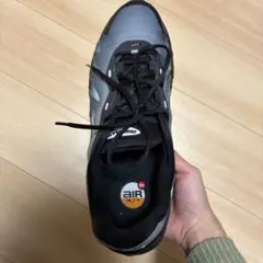 Nike Air Max グレー/ブラック/レッド