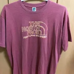 Tシャツ ザノースフェイス XXL