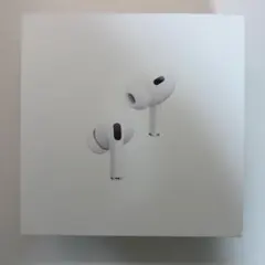 菜園重力破壊活動家【プロフ必読】 様専用Apple AirPods Pro 第2