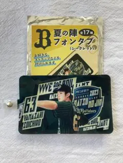 オリックスバファローズ 山崎颯一郎 缶バッジ アクキー 41点まとめ売り オリックスバファローズ 山崎颯一郎 缶バッジ アクキー 41点
