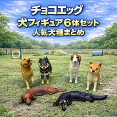 チョコエッグ 犬フィギュア 6体セット 人気犬種まとめ