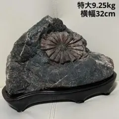 2026年最新】水石 盆石の人気アイテム - メルカリ