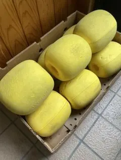 Item thumbnail for item a0d40fc1-d8ca-467b-b858-e2e3d3eb6996