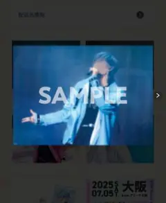 めておら Lapis らぴすくん EXPO くじ B賞 実写クリアポスター