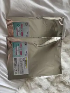 初音ミク× Rody gymnic 鏡音レン 初音ミク クリアファイル