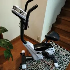 ALINCO FITNESS フィットネスバイク ALFITS