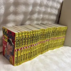 YAWARA! 全29巻セット 浦沢直樹 ビッグコミックス 全巻のサムネイル