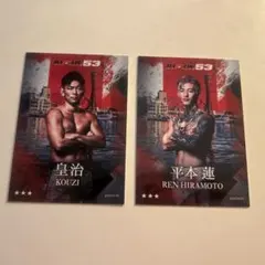 2026年最新】Rizin 平本蓮の人気アイテム - メルカリ