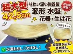 【存在感抜群】大型 陶器 変形水盤 花器 華道 盆栽鉢 オブジェ 42.5cm