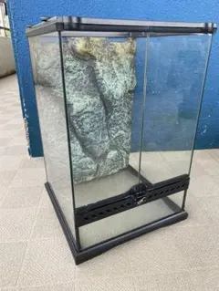 2025年最新】グラステラリウムの人気アイテム - メルカリ 【東京都