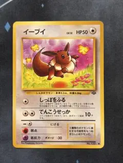 イーブイ 旧裏　第2弾拡張パック ポケモンジャングル