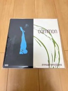 ★1stプレスUSオリジナル盤 Common Sense ☆1stプレスUSオリジナル盤 Common Sense - メルカリ