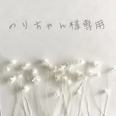 2026年最新】のりちゃん様 専用ページの人気アイテム - メルカリ
