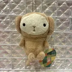 へんしん！メタモン オオタチ マスコット ポケモンセンター タグなし