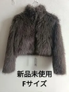 VIRAL. ブラウン ファー クロップドジャケット